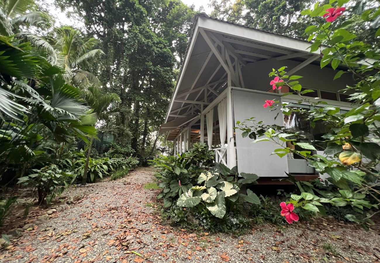 Maison à Puerto Viejo - Residencia Casa Blanca Beachfront Paradise